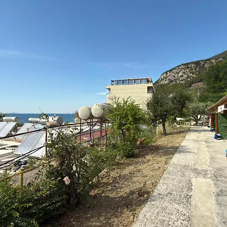 Shades Of Blue * Vlorë